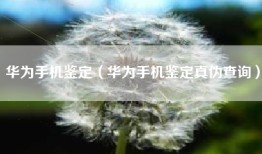 华为手机鉴定（华为手机鉴定真伪查询）