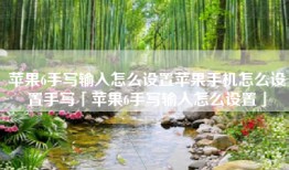苹果6手写输入怎么设置苹果手机怎么设置手写「苹果6手写输入怎么设置」