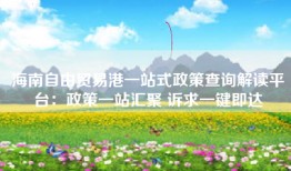 海南自由贸易港一站式政策查询解读平台：政策一站汇聚 诉求一键即达