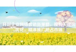 开封企业网络营销新策略，搜狗关键词优化，精准推广抢占市场