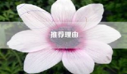 推荐理由