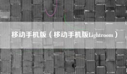 移动手机版（移动手机版Lightroom）