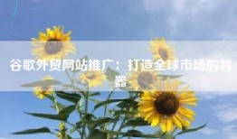 谷歌外贸网站推广：打造全球市场的利器