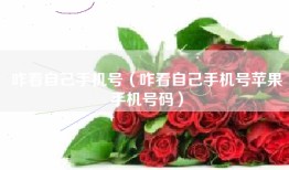 咋看自己手机号（咋看自己手机号苹果手机号码）