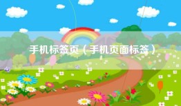 手机标签页（手机页面标签）