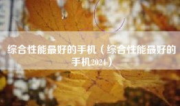 综合性能最好的手机（综合性能最好的手机2024）