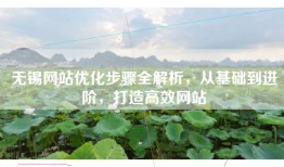 无锡网站优化步骤全解析，从基础到进阶，打造高效网站