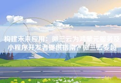 构建未来应用：微三云为鸿蒙元服务及小程序开发者提供指南？微三云麦超