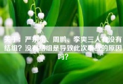 关于：严东东、周鹏、李爽三人有没有结组？没有结组是导致此次事故的原因吗？