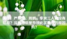 关于：严东东、周鹏、李爽三人有没有结组？没有结组是导致此次事故的原因吗？