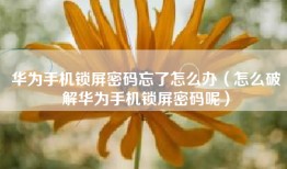 华为手机锁屏密码忘了怎么办（怎么破解华为手机锁屏密码呢）