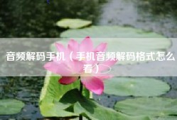 音频解码手机（手机音频解码格式怎么看）