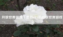 开放世界游戏（类似GTA的开放世界游戏）
