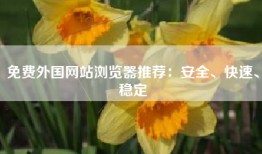 免费外国网站浏览器推荐：安全、快速、稳定