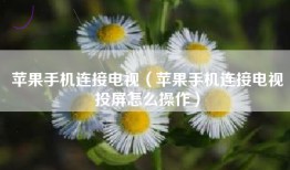 苹果手机连接电视（苹果手机连接电视投屏怎么操作）