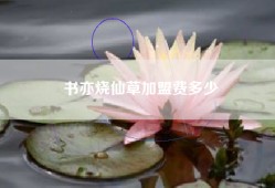 书亦烧仙草加盟费多少