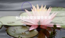 书亦烧仙草加盟费多少