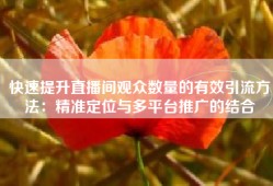 快速提升直播间观众数量的有效引流方法：精准定位与多平台推广的结合