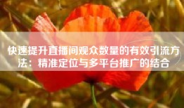 快速提升直播间观众数量的有效引流方法：精准定位与多平台推广的结合