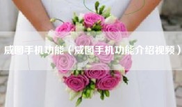 威图手机功能（威图手机功能介绍视频）
