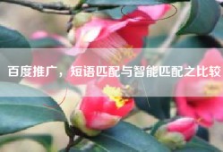 百度推广，短语匹配与智能匹配之比较