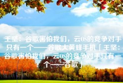 王坚：谷歌害怕我们，云OS的竞争对手只有一个——谷歌大黄蜂手机「王坚：谷歌害怕我们，云OS的竞争对手只有一个——谷歌」