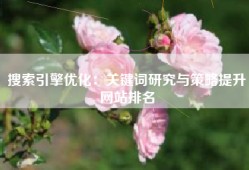 搜索引擎优化：关键词研究与策略提升网站排名