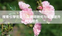 搜索引擎优化：关键词研究与策略提升网站排名