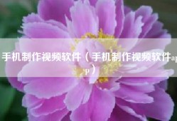 手机制作视频软件（手机制作视频软件app）