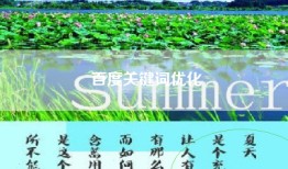 百度关键词优化