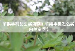 苹果手机怎么买内存（苹果手机怎么买内存空间）