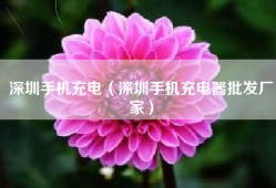 深圳手机充电（深圳手机充电器批发厂家）