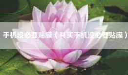 手机没必要贴膜（其实手机没必要贴膜）