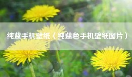 纯蓝手机壁纸（纯蓝色手机壁纸图片）