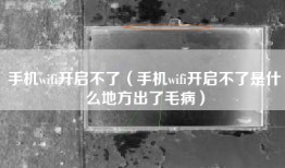 手机wifi开启不了（手机wifi开启不了是什么地方出了毛病）