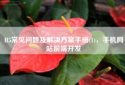 H5常见问题及解决方案手册(1)，手机网站前端开发
