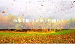 蓝米手机3（蓝米手机图片）