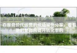 百度竞价代运营的成功案例分享，看看他们是如何提升转化率的