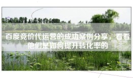 百度竞价代运营的成功案例分享，看看他们是如何提升转化率的