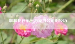 聊聊我在第三方支付公司的经历