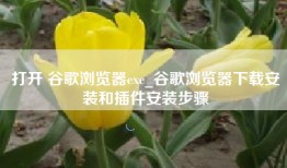 打开 谷歌浏览器exe_谷歌浏览器下载安装和插件安装步骤
