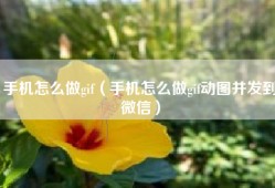 手机怎么做gif（手机怎么做gif动图并发到微信）
