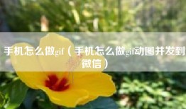 手机怎么做gif（手机怎么做gif动图并发到微信）