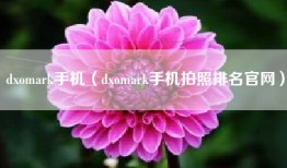 dxomark手机（dxomark手机拍照排名官网）