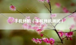手机烤机（手机烤机测试）