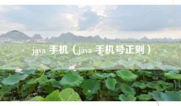 java 手机（java 手机号正则）
