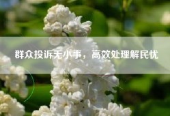 群众投诉无小事，高效处理解民忧