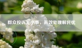 群众投诉无小事，高效处理解民忧