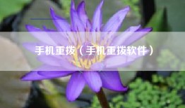 手机重拨（手机重拨软件）