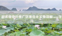 超详细竞价推广效果优化实操讲解-sem学习